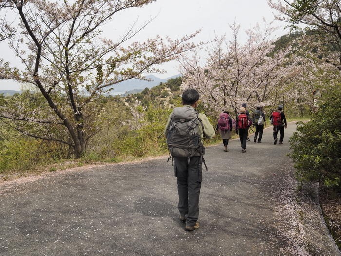 積善山 観桜登山 その２_c0116915_0104471.jpg