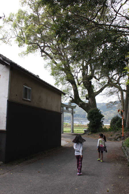 岐部神社お祭り_f0208315_00333237.jpg