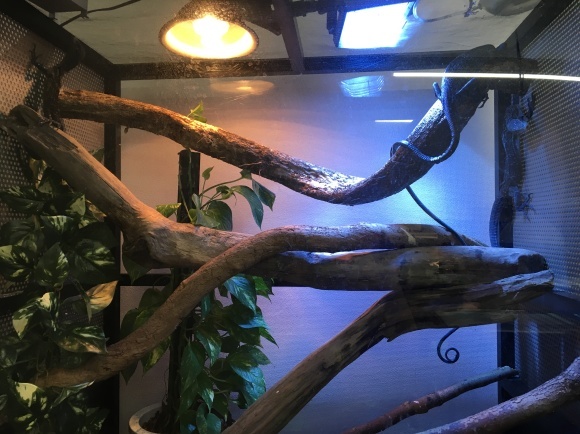 f0351616_03320462.jpeg
