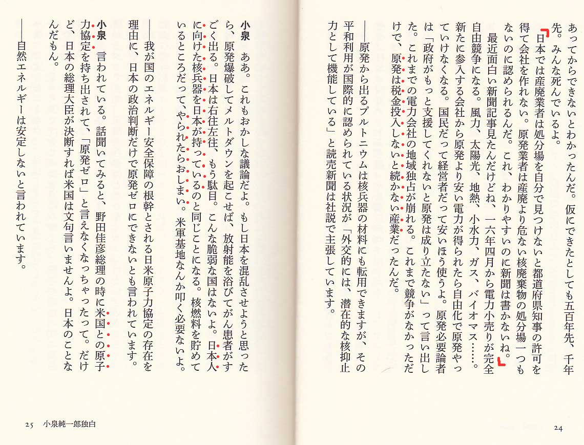 政治家は公憤が大事なんだ　（小泉純一郎元総理大臣のことば）　[ 草の根報道記者の非日常 ]_a0263725_7452013.jpg