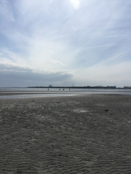 b0238426_16135973.jpg