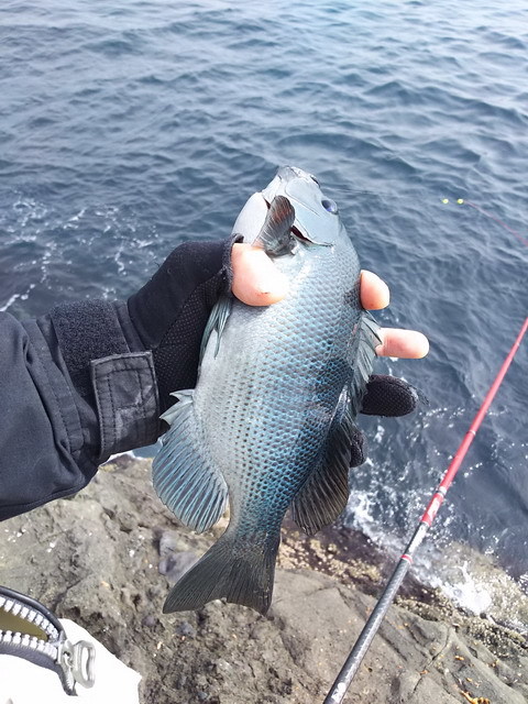 c0202727_21144286.jpg