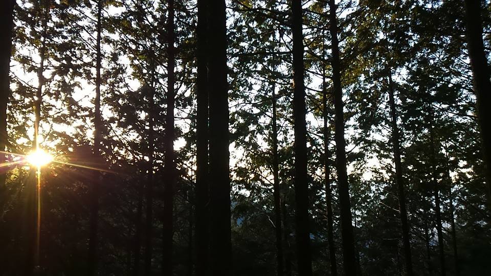 ▲山守コースを歩く(吉野やままち×月一山へ番外編)_a0355629_22414468.jpg
