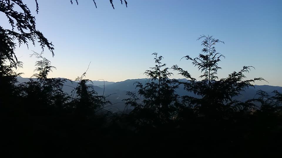 ▲山守コースを歩く(吉野やままち×月一山へ番外編)_a0355629_22415488.jpg