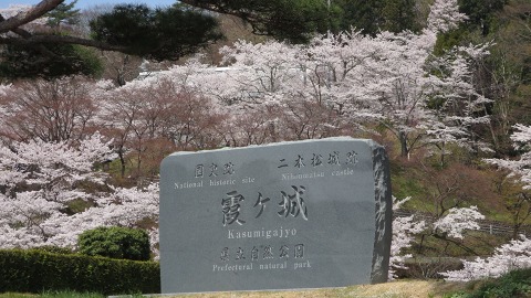 2016.04.09　霞ヶ城公園の桜_e0202031_22573479.jpg