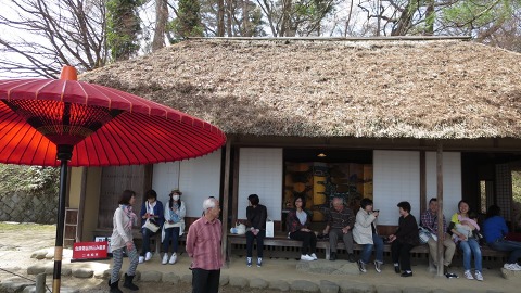 2016.04.09　霞ヶ城公園の桜_e0202031_2302751.jpg