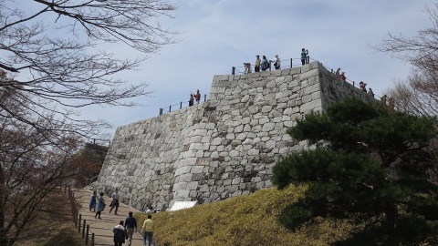 2016.04.09　霞ヶ城公園の桜_e0202031_2332585.jpg