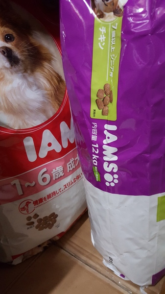 コストコでお買い物♪ コストコのモーニングサービス_d0269832_16520450.jpeg
