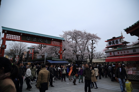 １６年桜紀行《Ⅳ》浅草界隈・金龍山浅草寺_f0229832_16421349.jpg