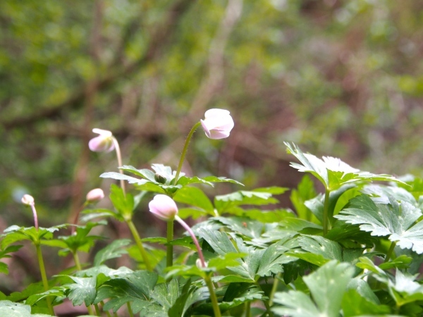 f0353034_23155712.jpg