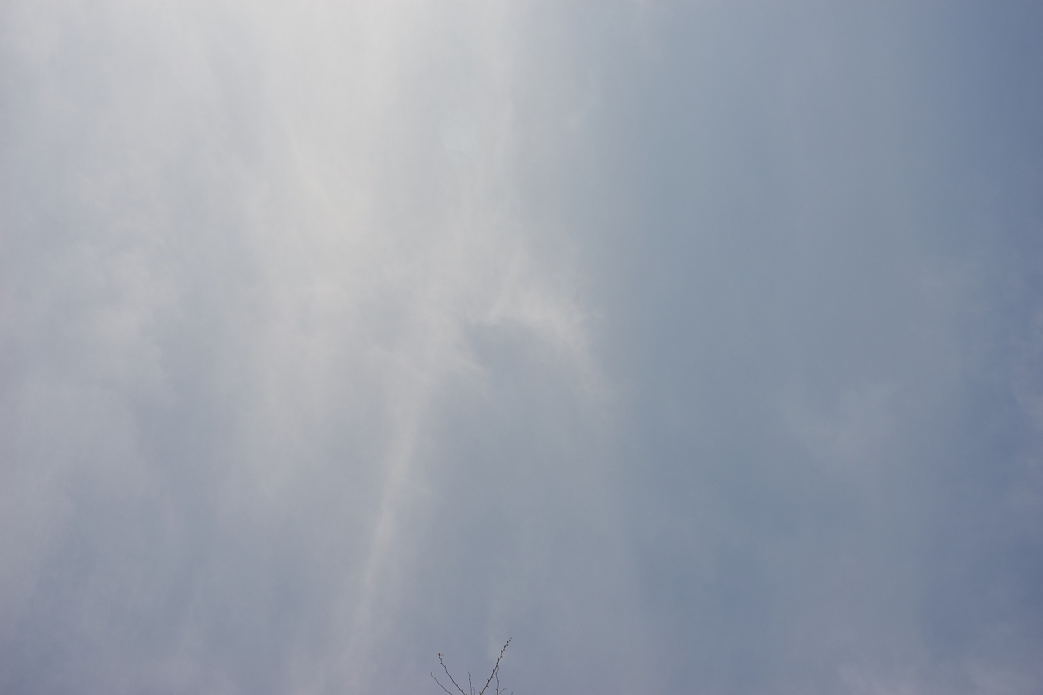 d0349141_19504589.jpg