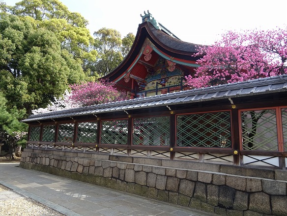 御香宮神社の枝垂れ桜_b0299042_21201377.jpg