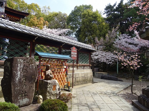 御香宮神社の枝垂れ桜_b0299042_21202628.jpg