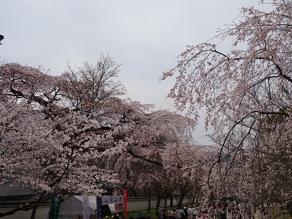 b0299042_9452121.jpg