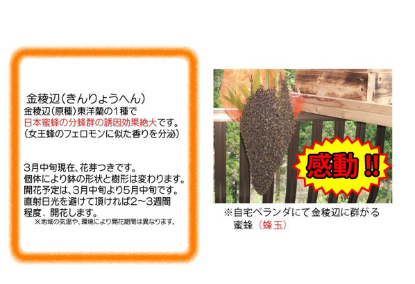c0198263_13190649.png