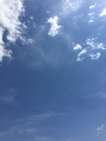 お問い合わせありがとうございます!_d0187468_11334259.jpg
