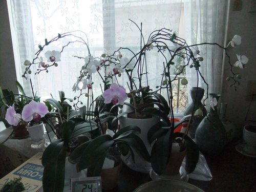 f0253572_20312599.jpg