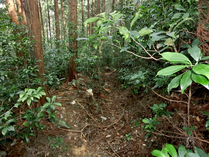 b0185573_13434243.jpg