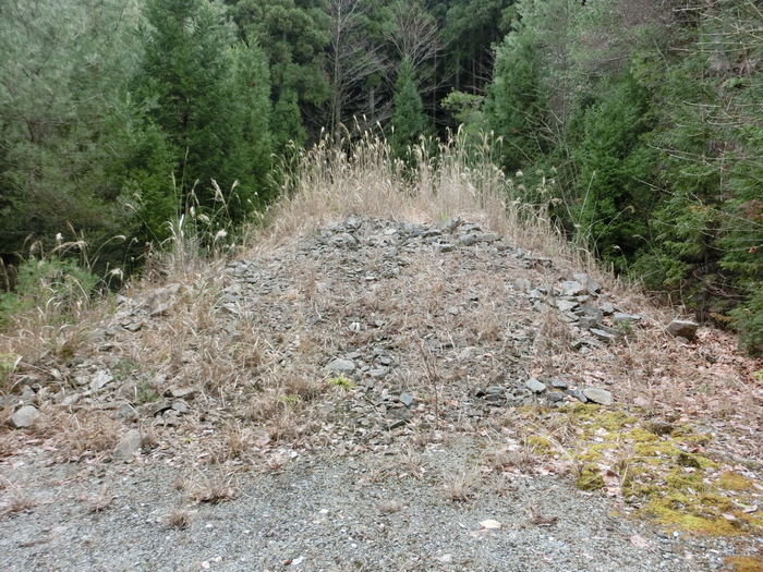b0185573_14112957.jpg