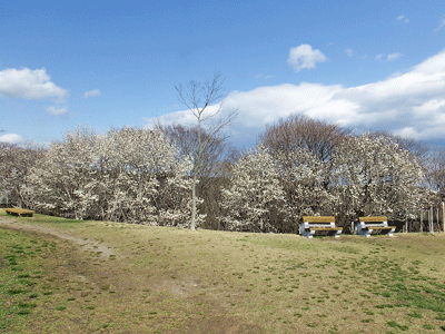f0140773_15313296.gif