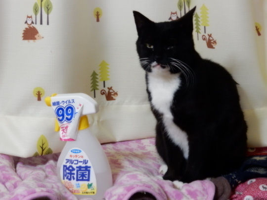 CMモデル_e0355177_10081635.jpg