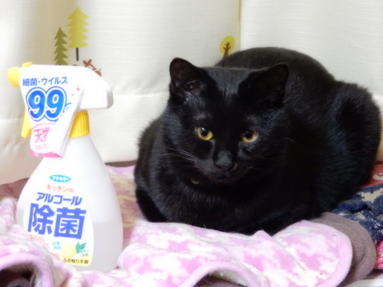 CMモデル_e0355177_10083143.jpg