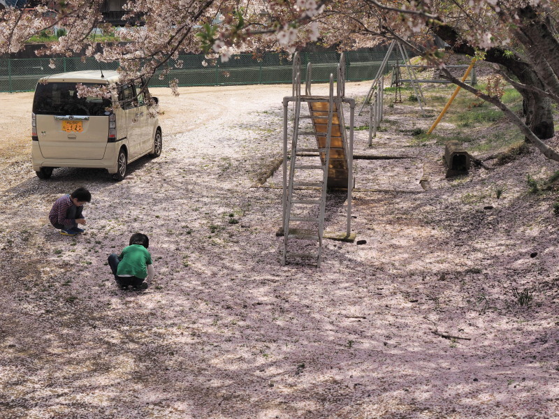 桜ブランコの公園_c0254479_22422260.jpg