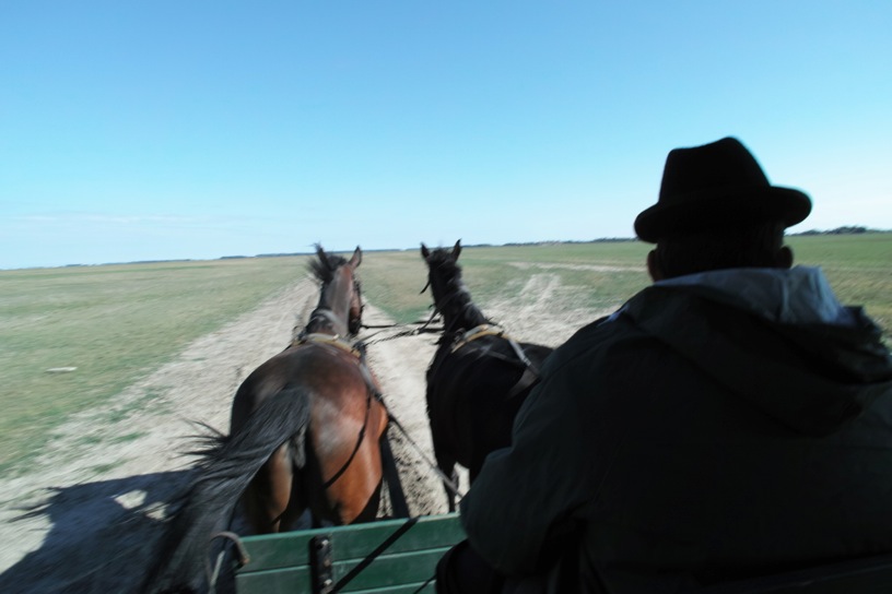 ホルトバージ国立公園 Hortobágy National Park - the Puszta_d0133581_22271196.jpg