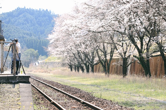 駅と桜とカメラマン_f0197586_21324594.jpg