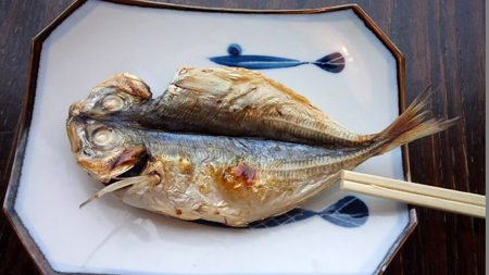 のんびり?駆け足? 高崎線で桜の小旅行2 早川から小田原へ~♪_a0136293_17191238.jpg