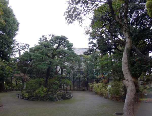 のんびり？駆け足？　高崎線で桜の小旅行2　早川から小田原へ～♪_a0136293_1720485.jpg