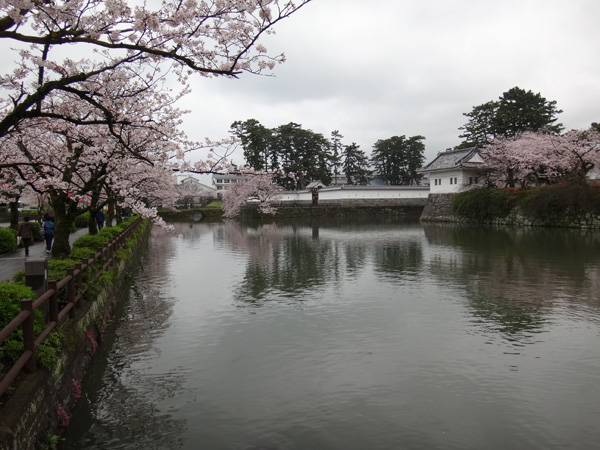 のんびり？駆け足？　高崎線で桜の小旅行2　早川から小田原へ～♪_a0136293_19191029.jpg