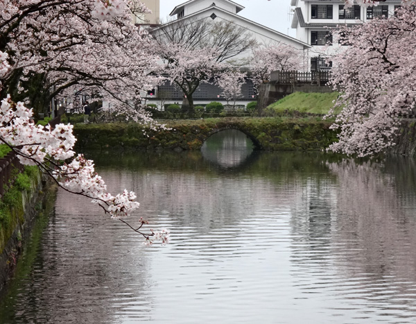 のんびり？駆け足？　高崎線で桜の小旅行2　早川から小田原へ～♪_a0136293_19243166.jpg