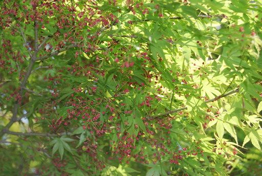 f0101201_14214616.jpg