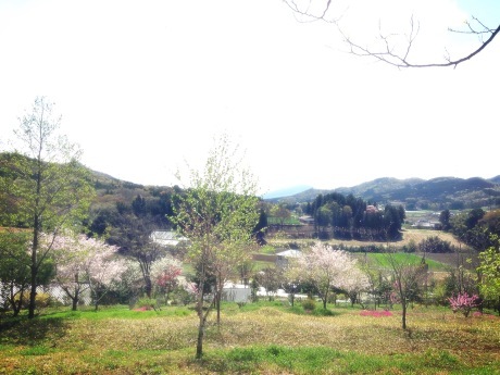 c0248102_22443909.jpeg