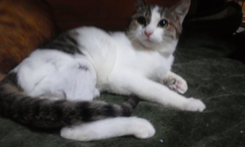 ひよりちゃん スタート地点に立てました!_f0242002_21253627.jpg
