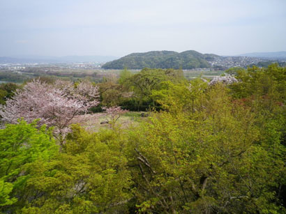 a0106409_10320422.jpg