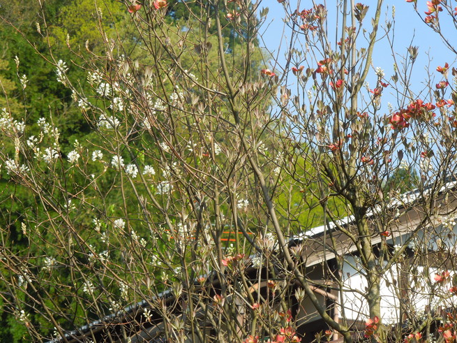 f0297809_23105795.jpg