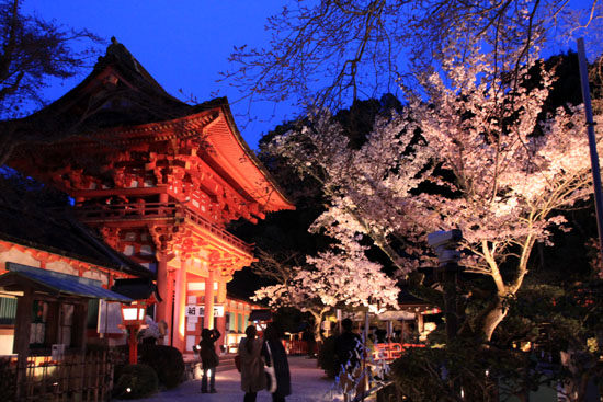 上賀茂神社ライトアップ_e0048413_2124823.jpg