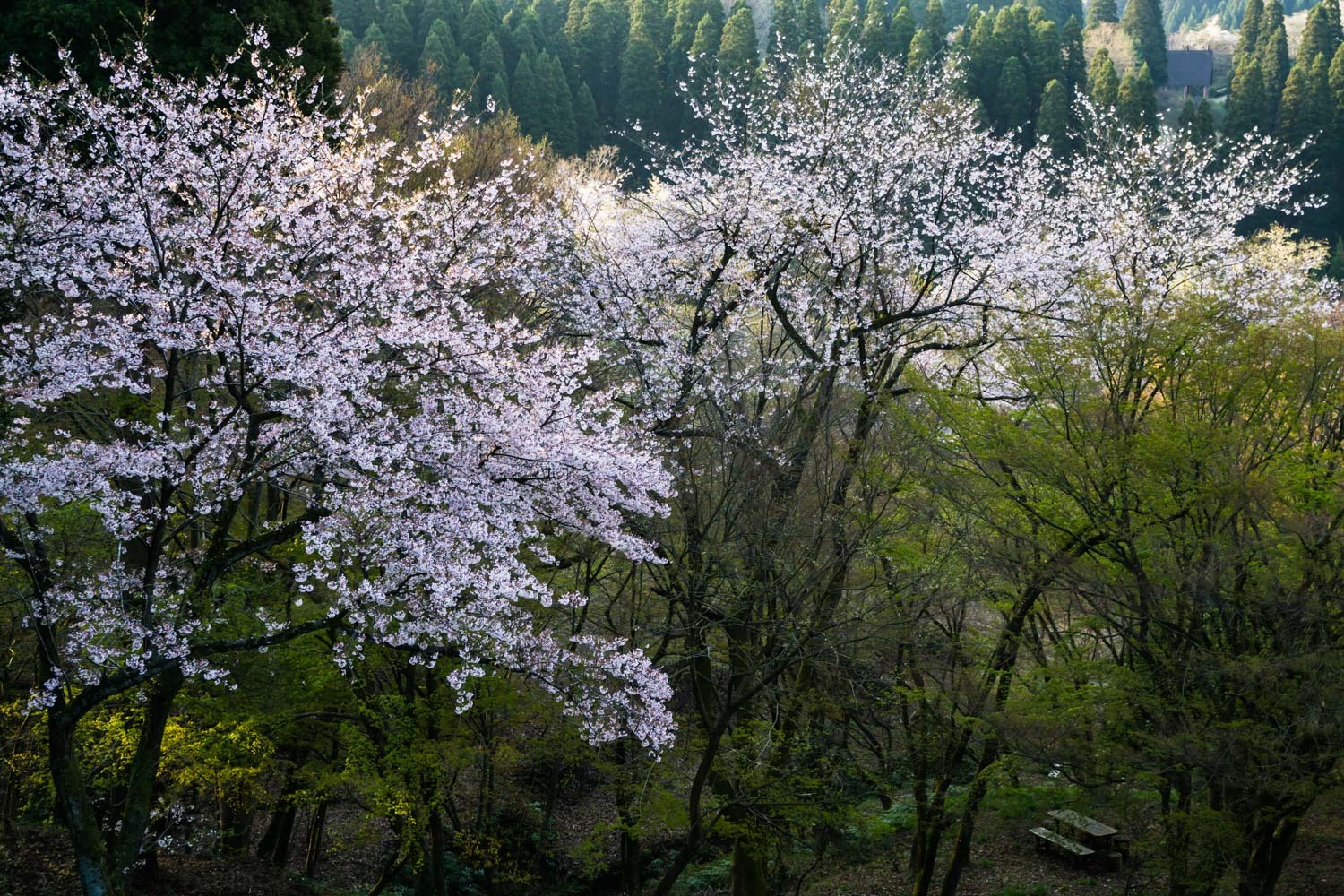 c0220824_20010080.jpg