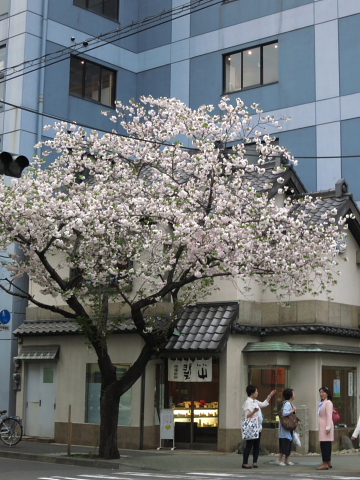 「ぶらパルマ」　in 日本橋、人形町。_d0046025_11293452.jpg