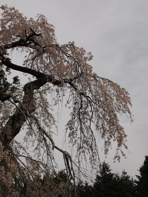 e0303726_20292691.jpg