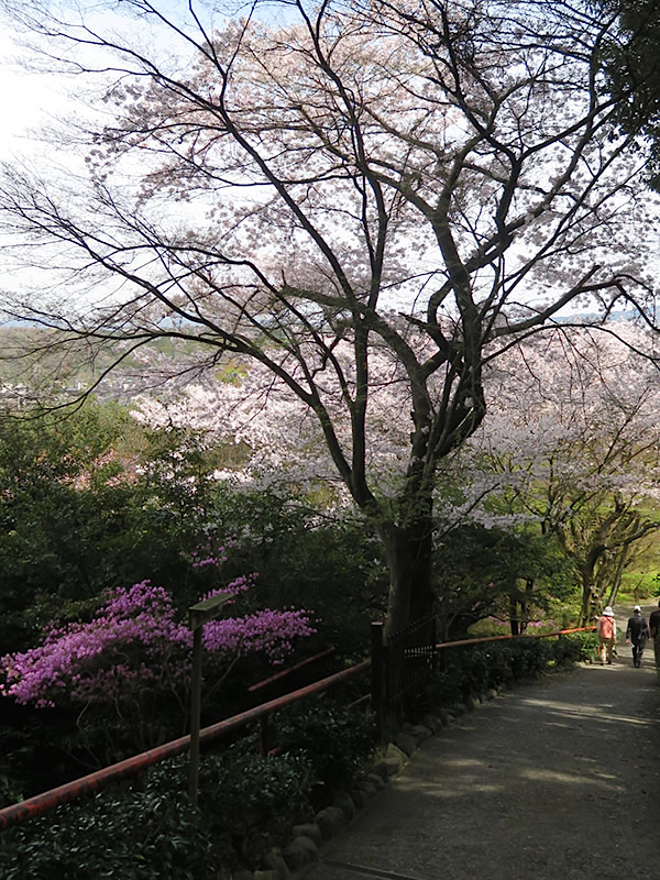 石山寺の「紫式部と石山秋月」_d0352628_174833.jpg