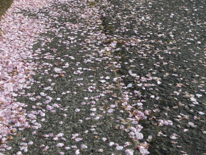 a0206332_9212935.jpg