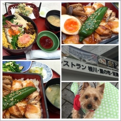 d0017632_13444942.jpeg