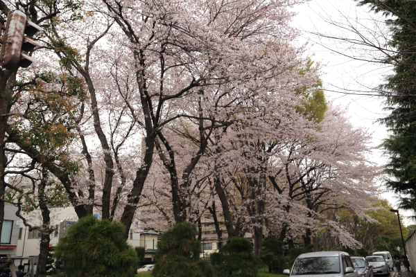 f0229832_174755.jpg