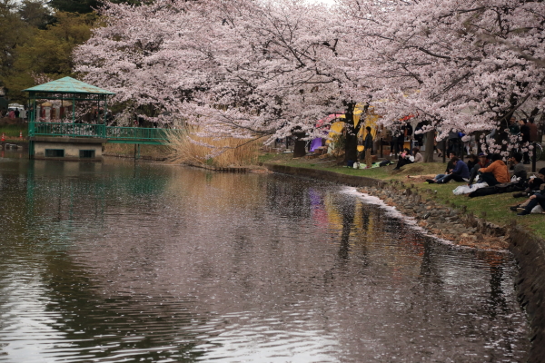 f0229832_17593275.jpg