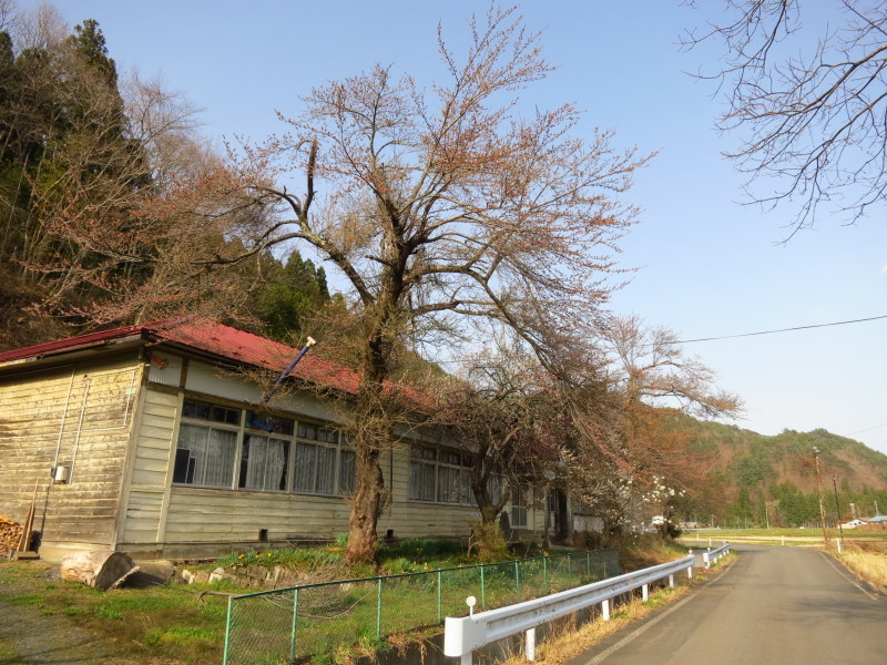 ここにも懐かしの分校が~中島分校の桜~_b0206037_08492086.jpg