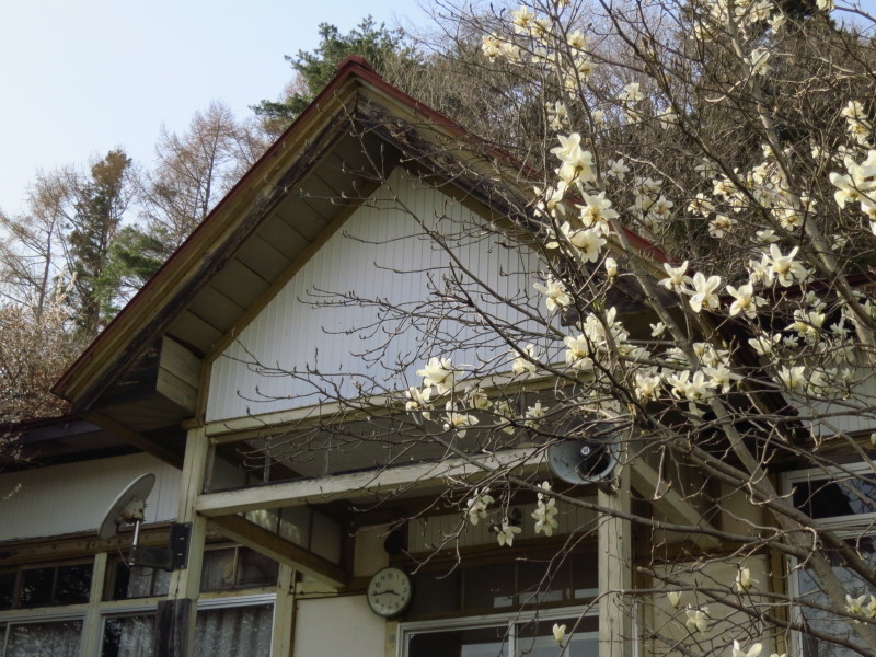 ここにも懐かしの分校が~中島分校の桜~_b0206037_08500904.jpg