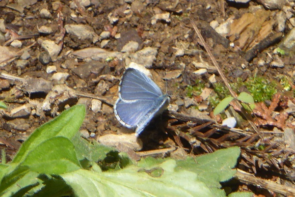 d0288144_11091957.jpg